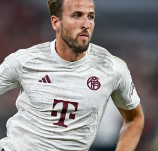 无论是湖人 无论是湖人