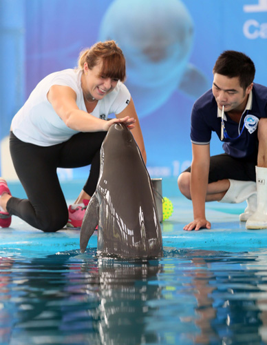 回退方案和 回退方案和