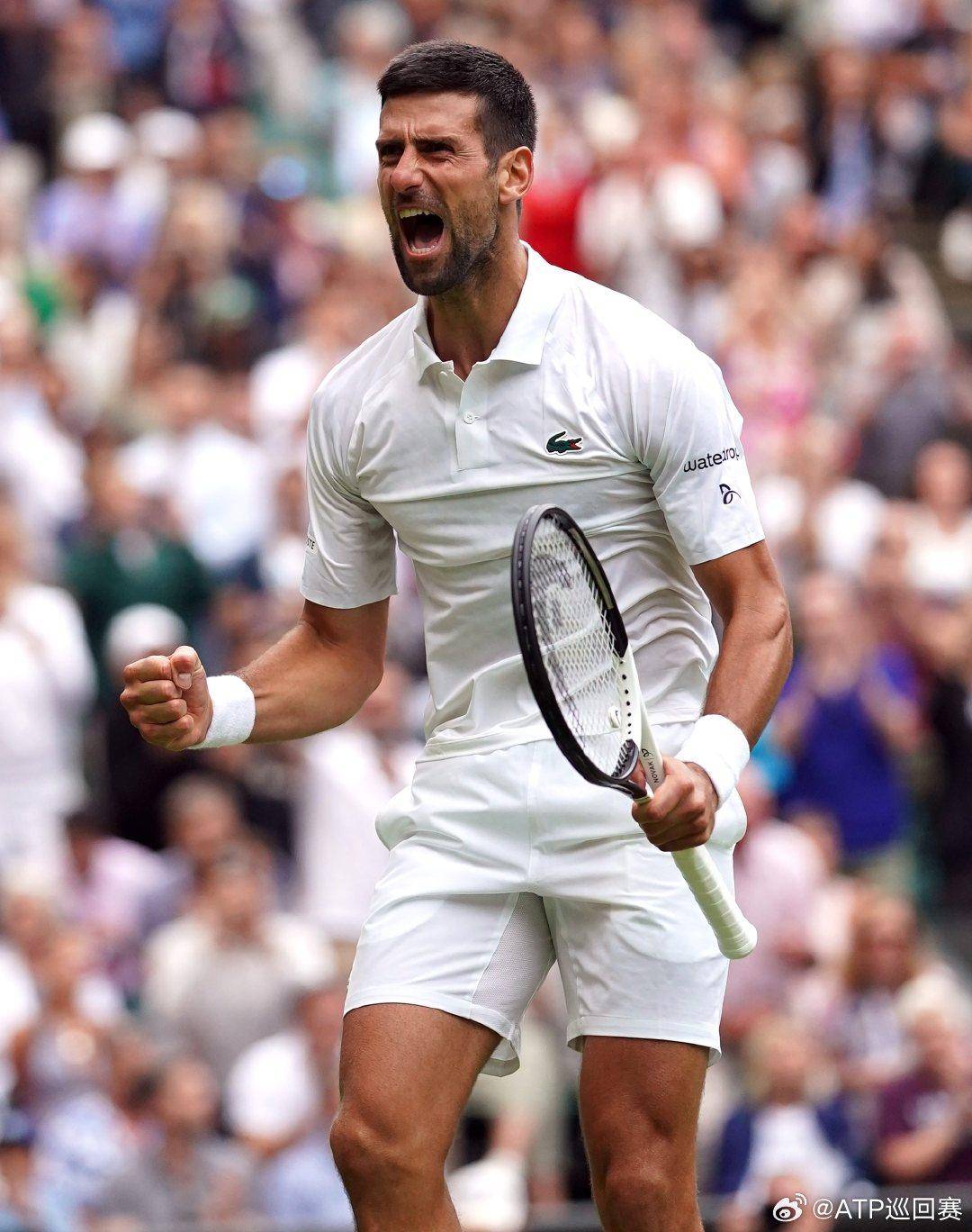 表达对老队 表达对老队